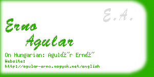 erno agular business card